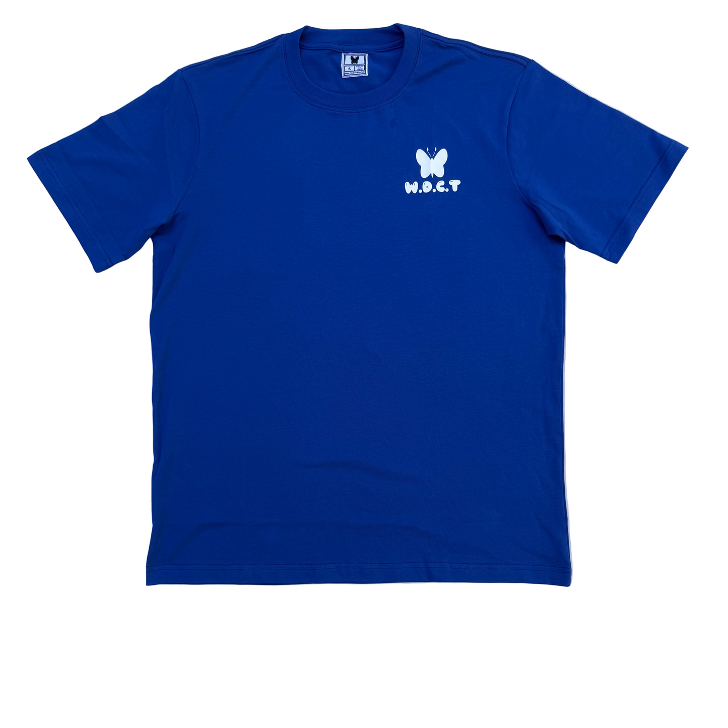 The Dream Capsule (Blue)